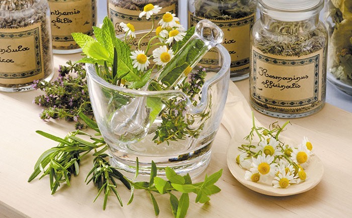 L’Algérie a importés pour 19 millions $ de plantes.