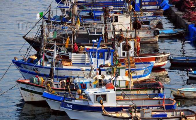 Béni-Saf: Débrayage au port de pêche