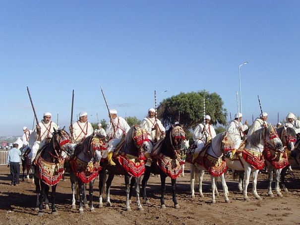 Tiaret: Les organisateurs du Salon du cheval honorés