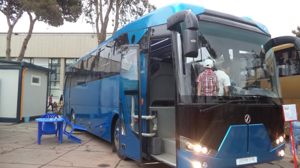 Son plan de charge pour l’année 2016 piétine: La SNVI tarde à livrer la commande de sa clientèle