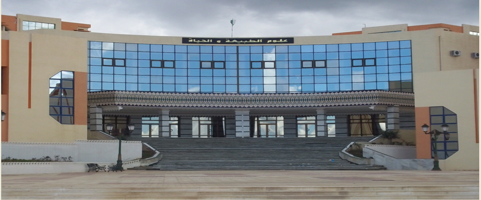 Une université algérienne classée dans la liste des 980 meilleures au monde