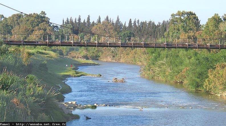 Guelma : Découverte d’un corps sans vie sous le pont d’oued Seybouse