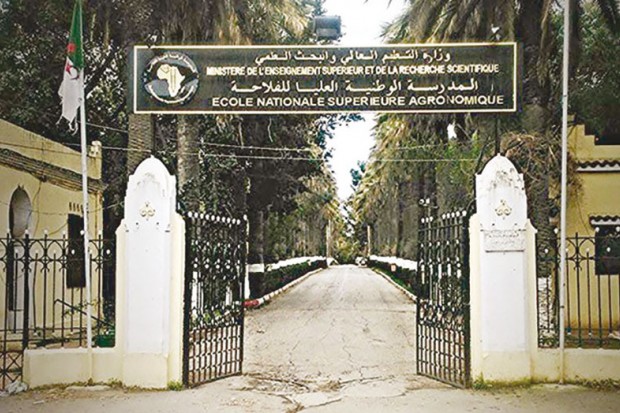 Enseignants chercheurs licenciés de l’Ecole d’agronomie d’Alger: Tahar Hadjar s’en lave les mains