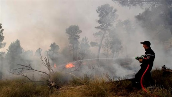 Incendie à la zone industrielle de Baba Hassan: Une superficie de 1 500 m2 ravagée.