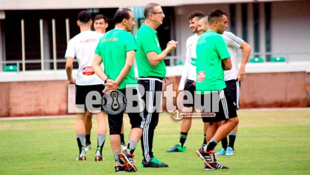 Leekens pas chaud pour continuer avec le même staff