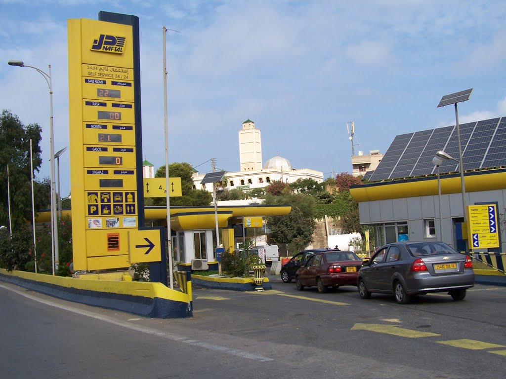 Naftal Une première station-service fonctionnant au solaire projetée à Naâma