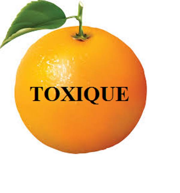 TLEMCEN : Des oranges toxiques sur les étals