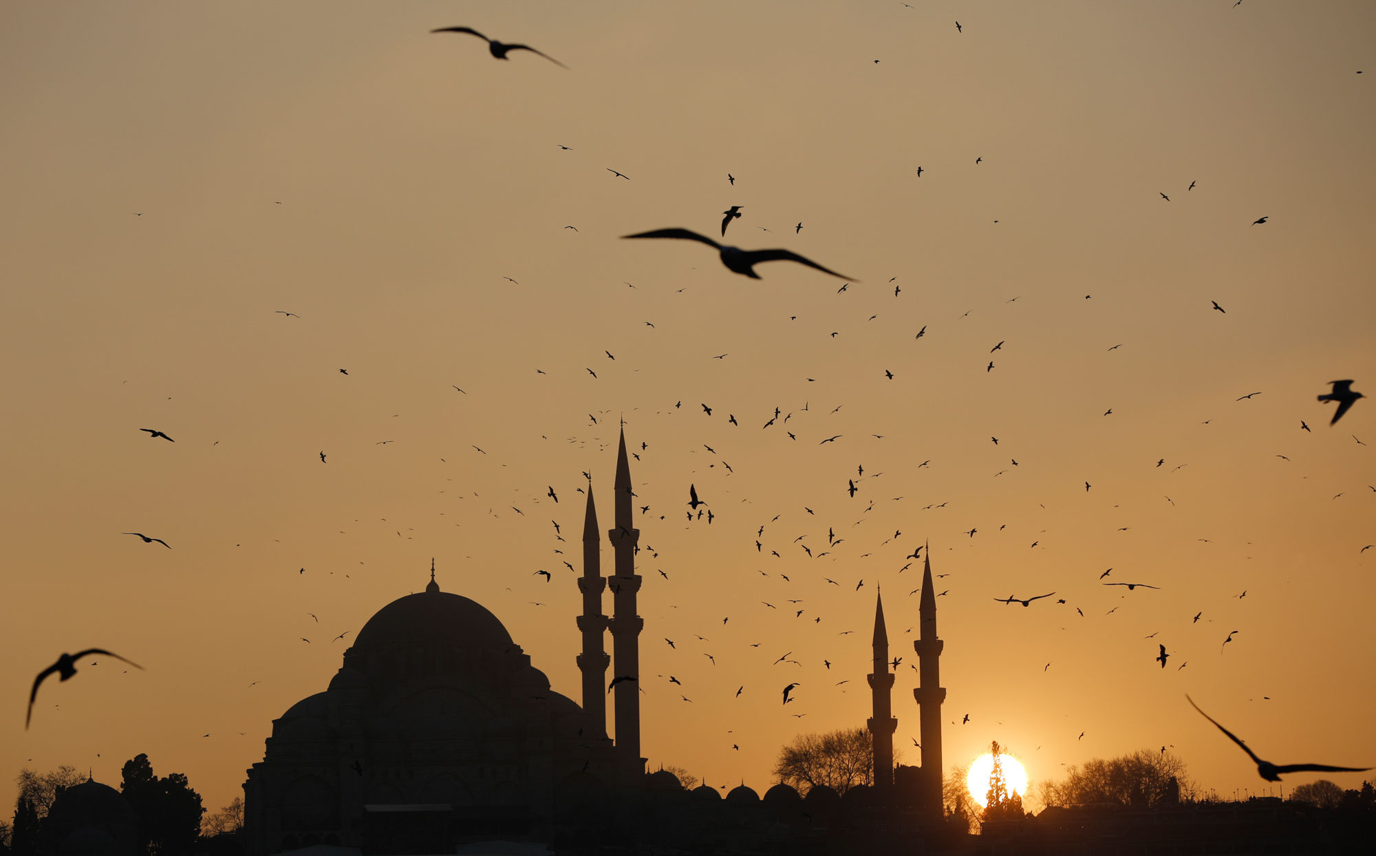 Etat D’Urgence En Turquie: La CEDH croule sous les plaintes