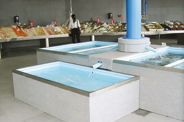 Opportunité pour la haute gastronomie: Pour la première fois, un vivier pour crustacés à Collo