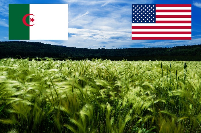 L’Algérie cède 25 000 hectares de terres arables à un partenaire américain