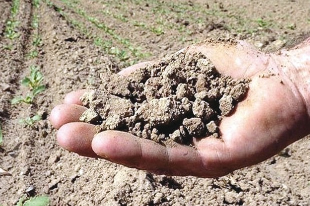 En raison du déficit pluviométrique à Aïn Témouchent:Le délai de remboursement des crédits RFIG repoussé à septembre 2017