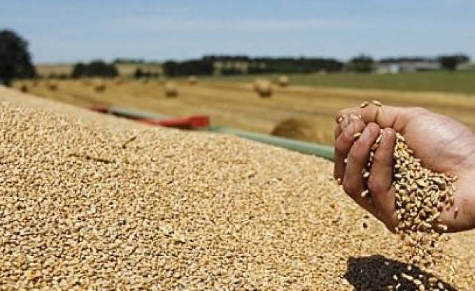 Céréales: la facture d’importation en baisse de plus de 26%