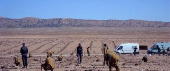 Djelfa: des détenus se mettent à la culture pastorale.