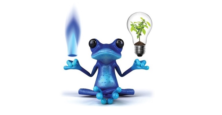 Bordj Bou-Arréridj : La SDE affiche un bilan positif