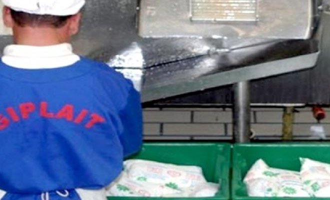 Algérie : le groupe Giplait augmente sa production à 1 million de litres par jour