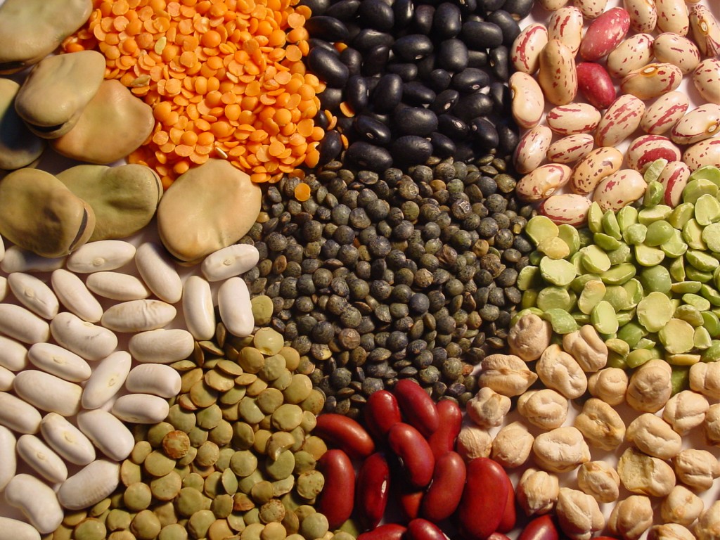 Tiaret: Cap sur les légumes secs