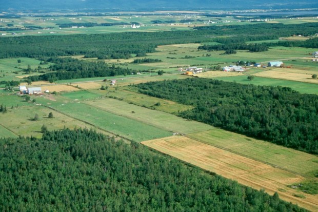 Assainissement du foncier à Médéa: Les procédures de régularisation en bonne voie