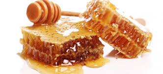 Appels Des Apiculteurs À La Direction Des Forêts Une place pour les abeilles s’il vous plaît!