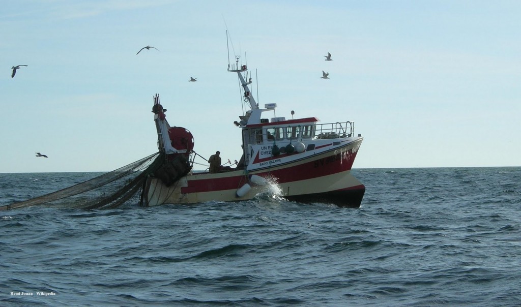 Des pêcheurs d’Azeffoun tirent la sonnette d’alarme: «d’ici dix ans, il n’y aura plus de poisson».