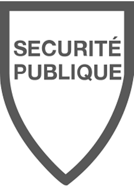 Sellal reçoit le ministre tchadien de la Sécurité publique et de l’Immigration