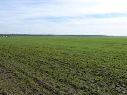 Agriculture: Les modalités de conversion en droit de location des terres wakfs fixées au Journal officiel