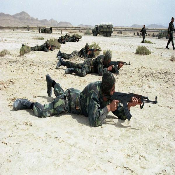 Algérie: 2 terroristes arrêtés près de la frontière avec le Mali