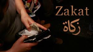 Credits Bonifiés : Plus de 8 340 projets financés par le fonds de la zakat