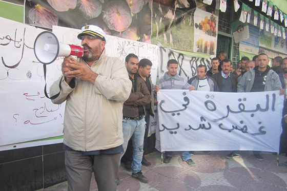 TIZI OUZOU : colére à la chambre d’agriculture