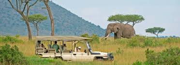 Kenya : les touristes reviennent