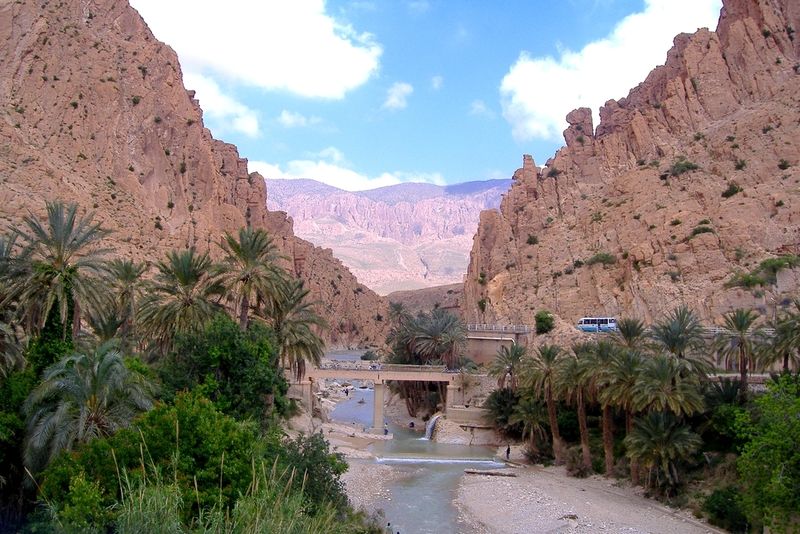 les journées littéraires de Khenchela s’ouvrent sous le slogan  » Aurès, mémoire d’un lieu ».