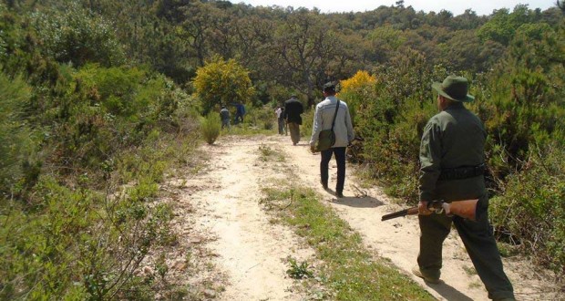 Chasse illicite à Batna : Les espèces animales menacées d’extinction