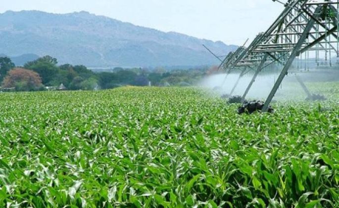 Le partenariat algéro-américain va mettre en valeur 20 000 ha à El Bayadh pour changer le développement local.