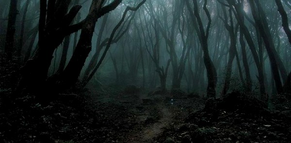 Urine de chameau, aphrodisiaques, amincissant, traitement multi-maladies… L' »underground » d&rsquo;un monde obscur