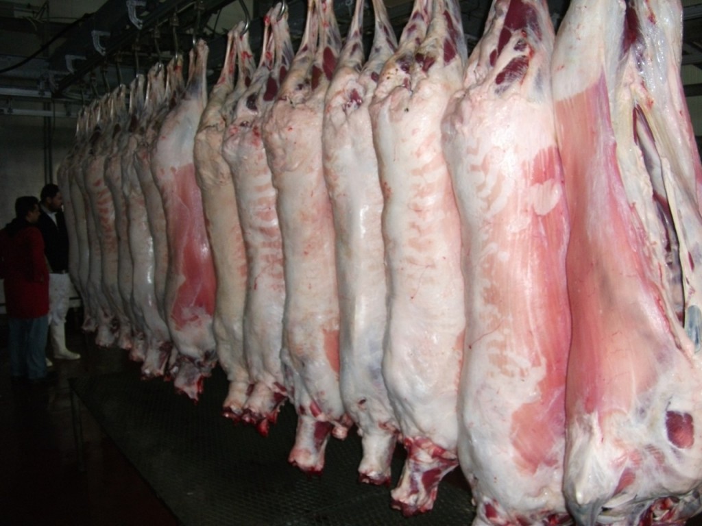 Jijel: Saisie de 200 kilogrammes de viandes d’abattage clandestin