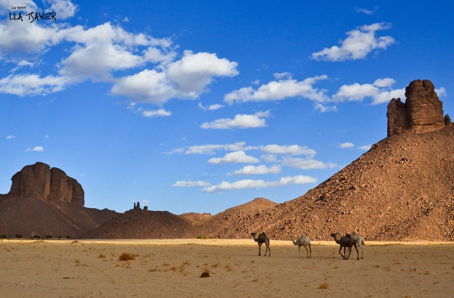 Uu regroupement de 1 000 jeunes y est prévu du 26 au 31 Décembre : Djanet, une destination de choix pour les fêtes de fin d’année
