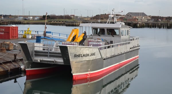 Le premier catamaran construit entièrement en Algérie sera livré en juin 2017.