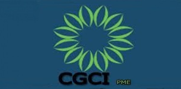 Journée d’étude de la CGCI À Oran: 310 garanties accordées pour 346 dossiers traités