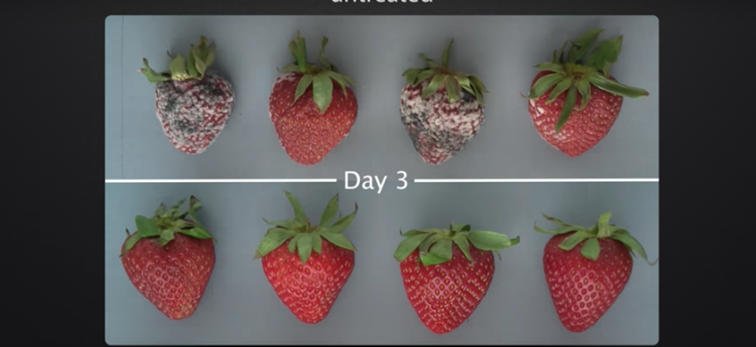 Une solution pour allonger la durée de vie des fruits et légumes