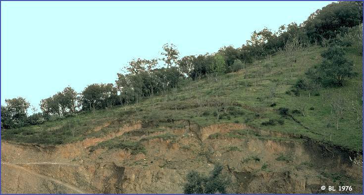 Les intempéries et les chantiers ouverts ont multiplié les points noirs