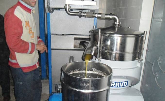 Une journée dans une huilerie semi-traditionnelle a la Khdaria:  Ces “alchimistes” de l’or vert