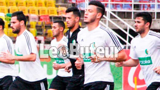 Pur produit du football local, il est l’une des satisfactions des Verts durant la CAN 2017 : Et si Bensebaïni avait été convoqué avant ?