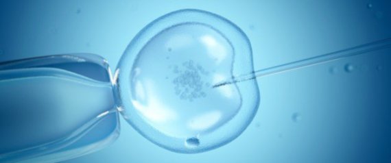 L’infertilité touche plus d’hommes que de femmes en Algérie, selon des spécialistes