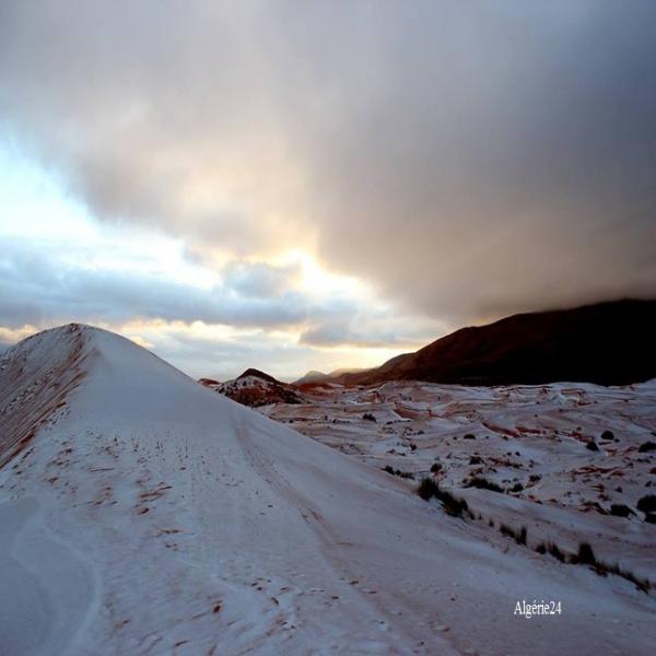 De la neige dans le Sahara algérien (photos)