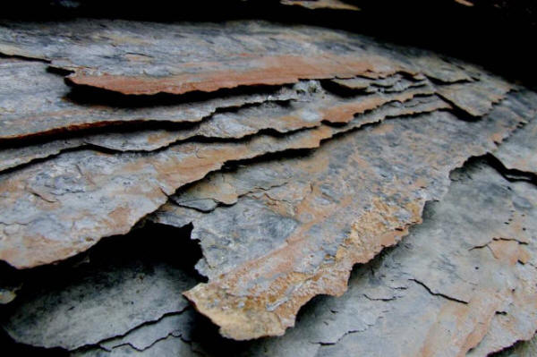 Les Marocains se mettent au schiste