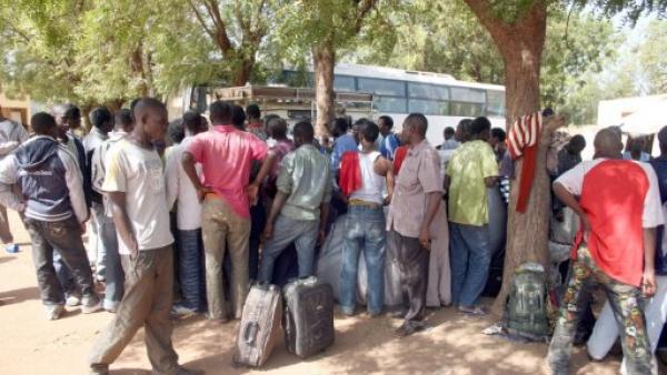 1500 réfugiés sub-sahariens arrêtés et reconduits aux frontières du sud algérien