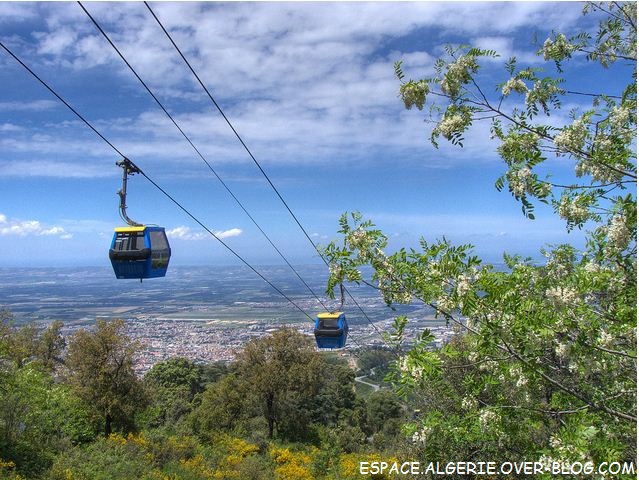 Réouverture du téléphérique de Blida à partir du 15 décembre