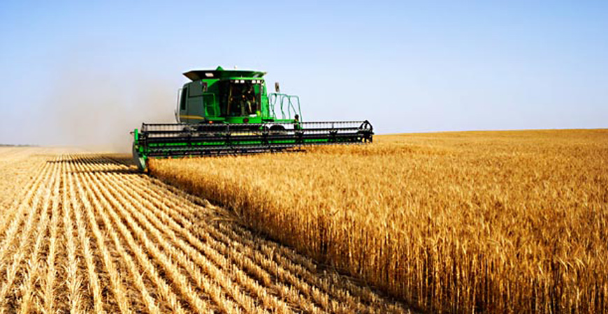 Algérie: Stages de formation encadrés au profit de 218 agriculteurs de Souk Ahras