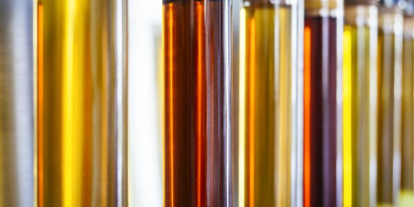 Un chercheur algérien reçoit le Prix scientifique de l’Opaep 2016.