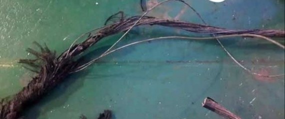 AT sera dédommagée par le navire responsable de la coupure du câble sous-marin à Annaba