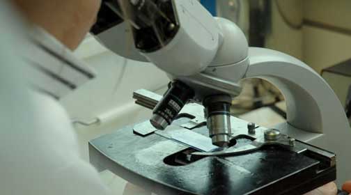 Les autorités ont lancé un projet d’accréditation de centres de recherche en cancérologie (DG de Roche Algérie)